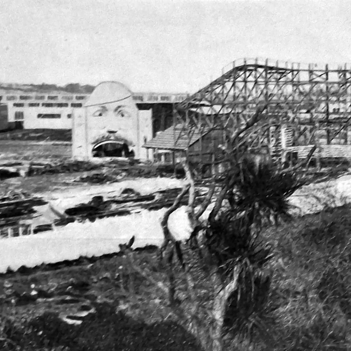 Expo rides head to Auckland