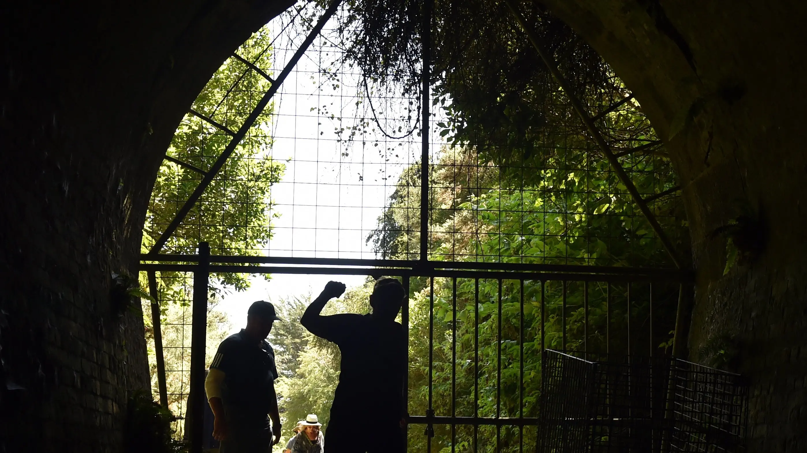Light at the end of this tunnel for city trust