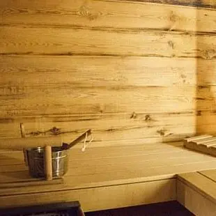 Mother and daughter die in Czech Republic sauna