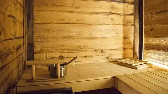Mother and daughter die in Czech Republic sauna