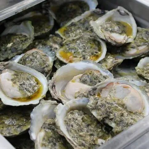 No sign of parasite in wild oysters
