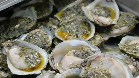 No sign of parasite in wild oysters