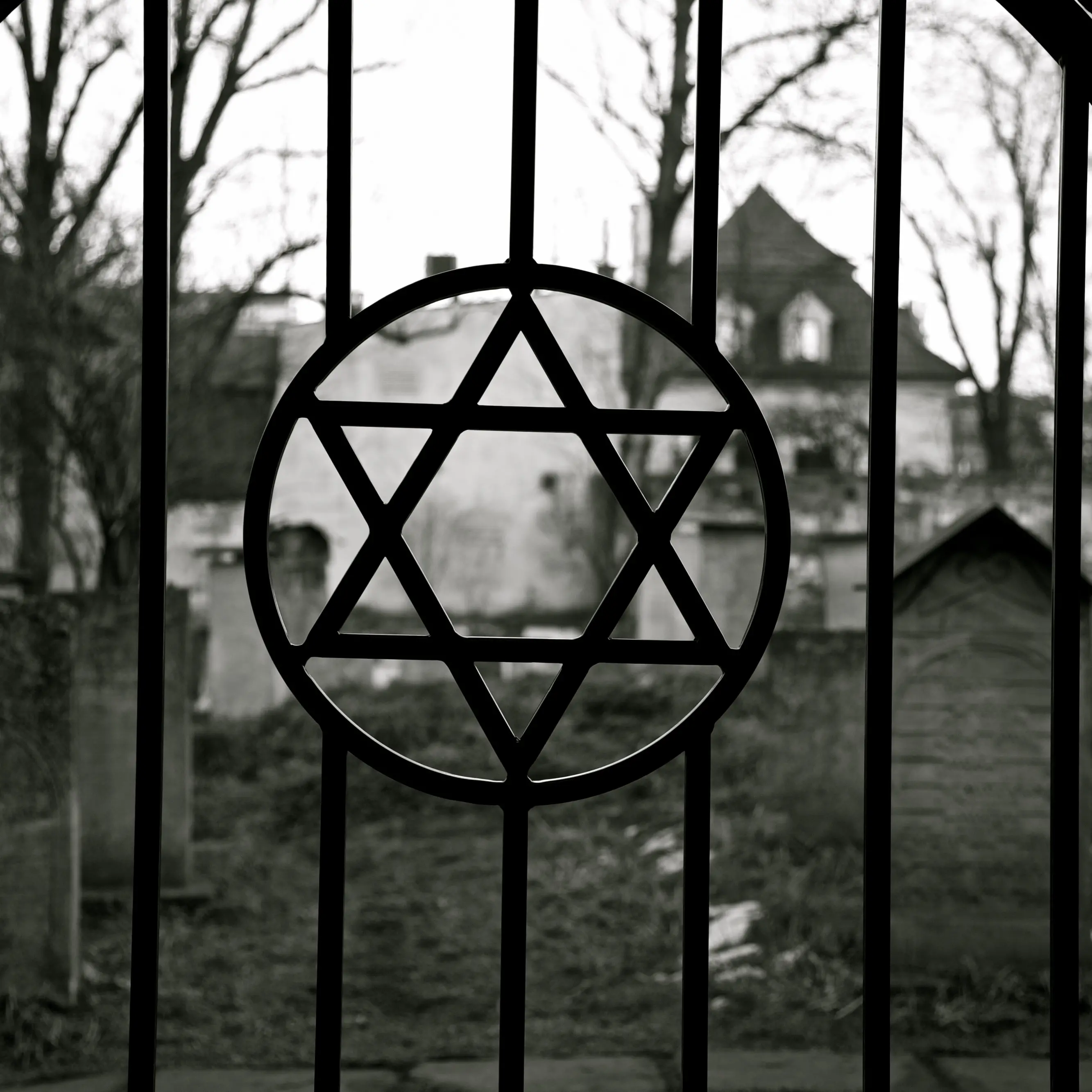 Politician apologises for filming in Auschwitz
