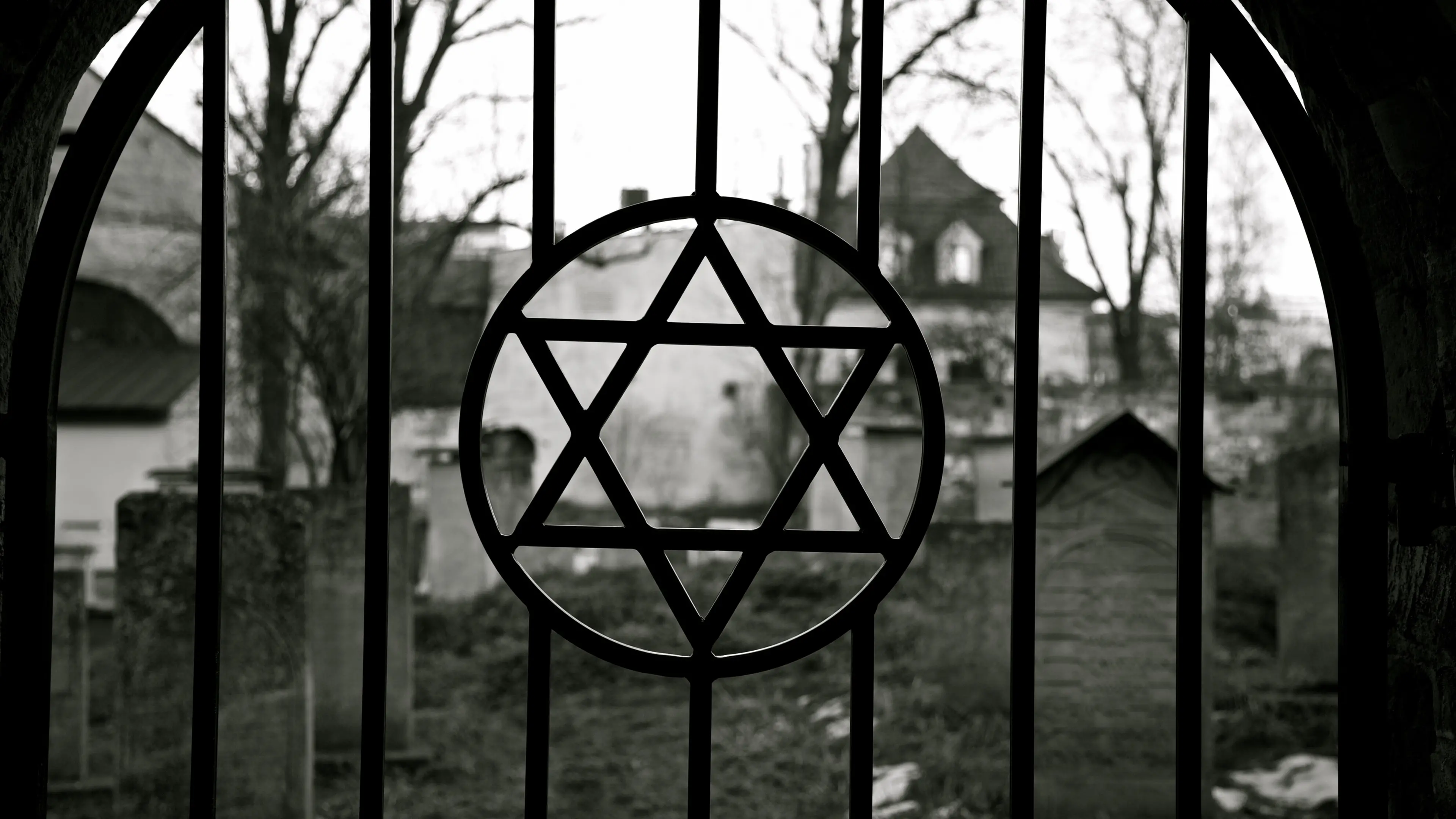 Politician apologises for filming in Auschwitz