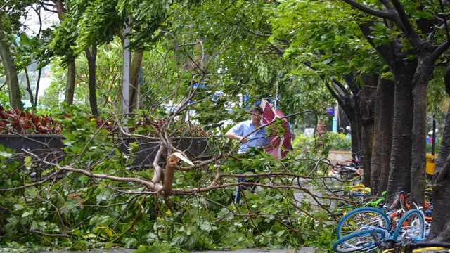 Eight killed, many missing, as typhoon hits Macau