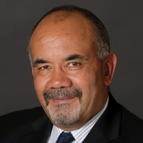 What form will the next Maori party take?