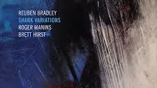 The classics: Shark Variations
