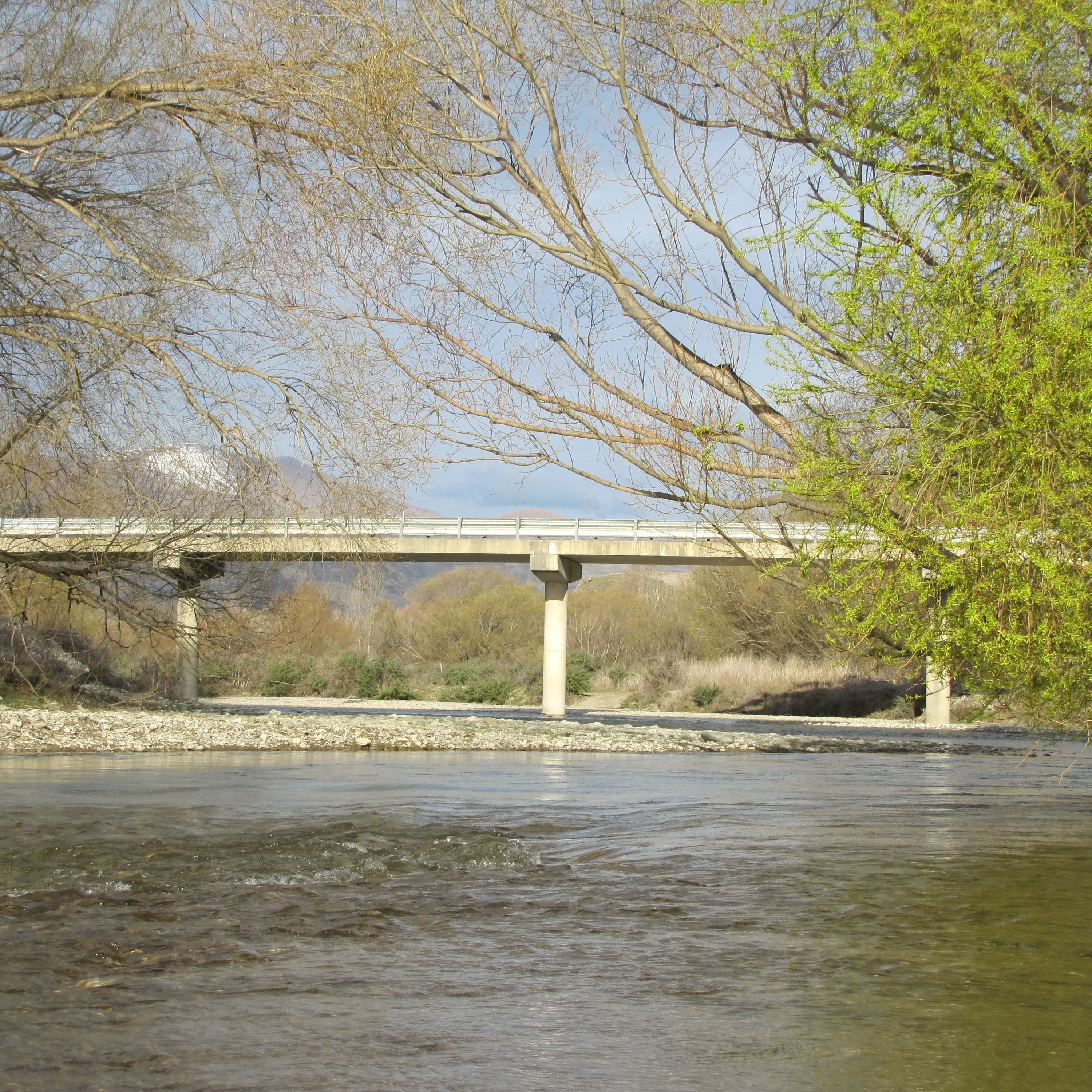 Fish and Game questions ORC on Lindis flows
