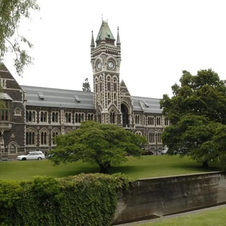 Tertiary precinct as destination