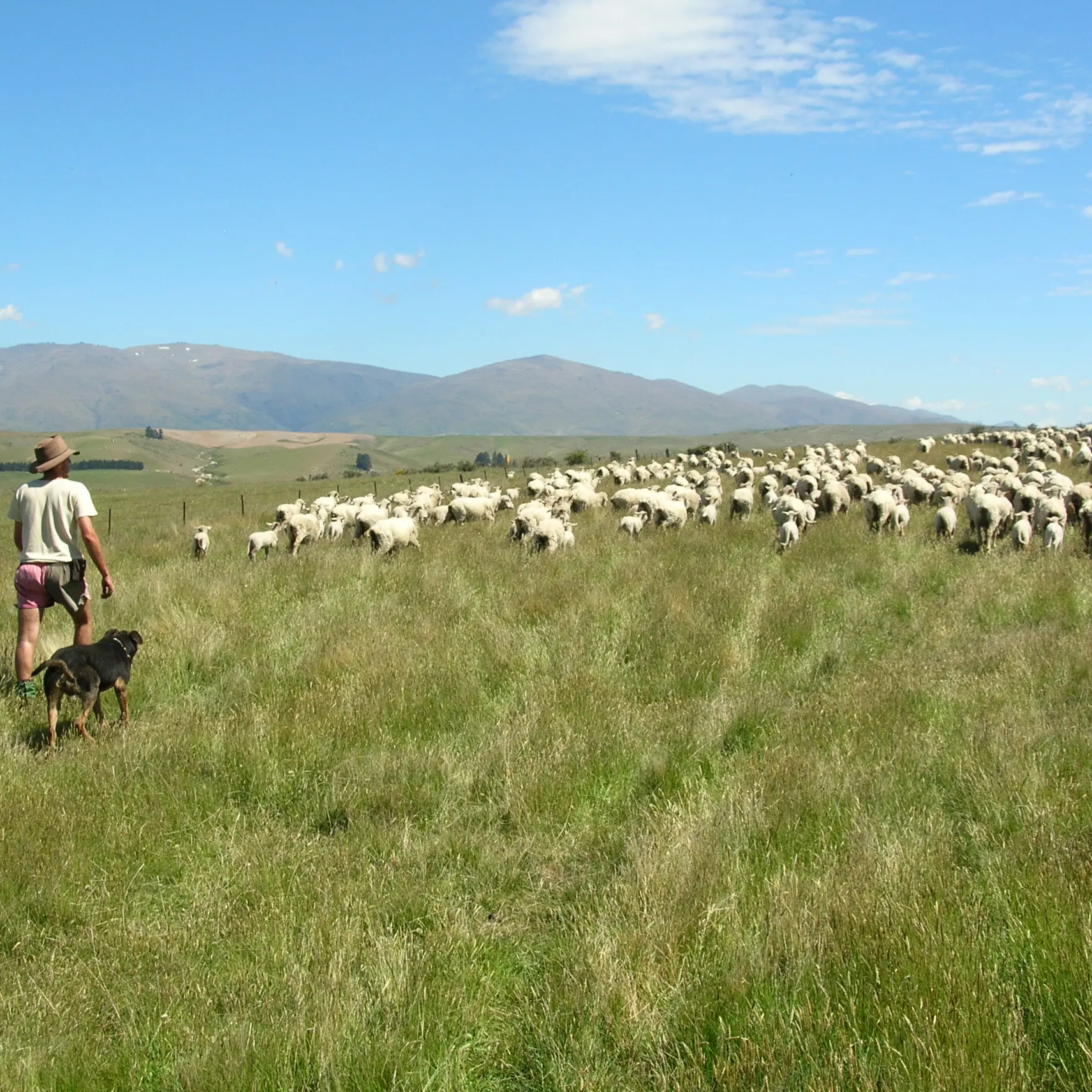 Expectations summer will be exceptionally dry one