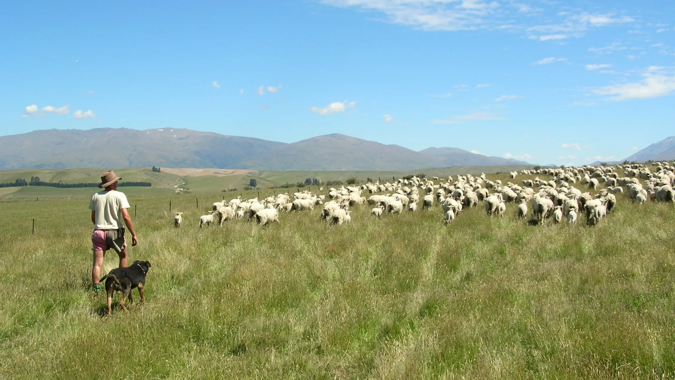 Expectations summer will be exceptionally dry one
