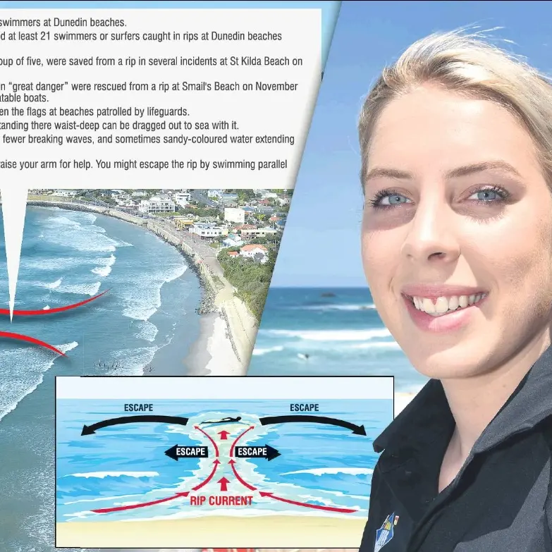 Danger of Dunedin beaches emphasised