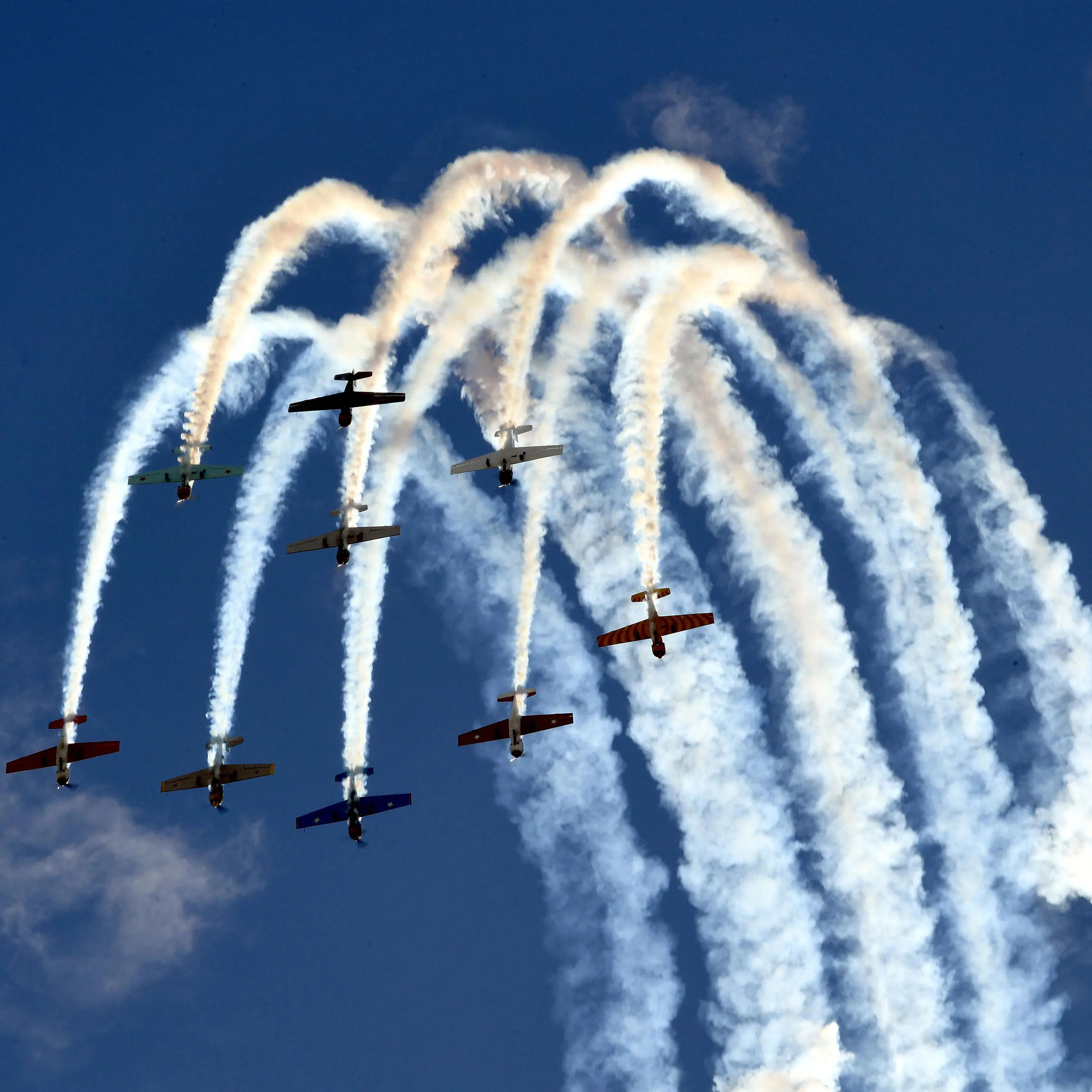 Warbirds cancelled