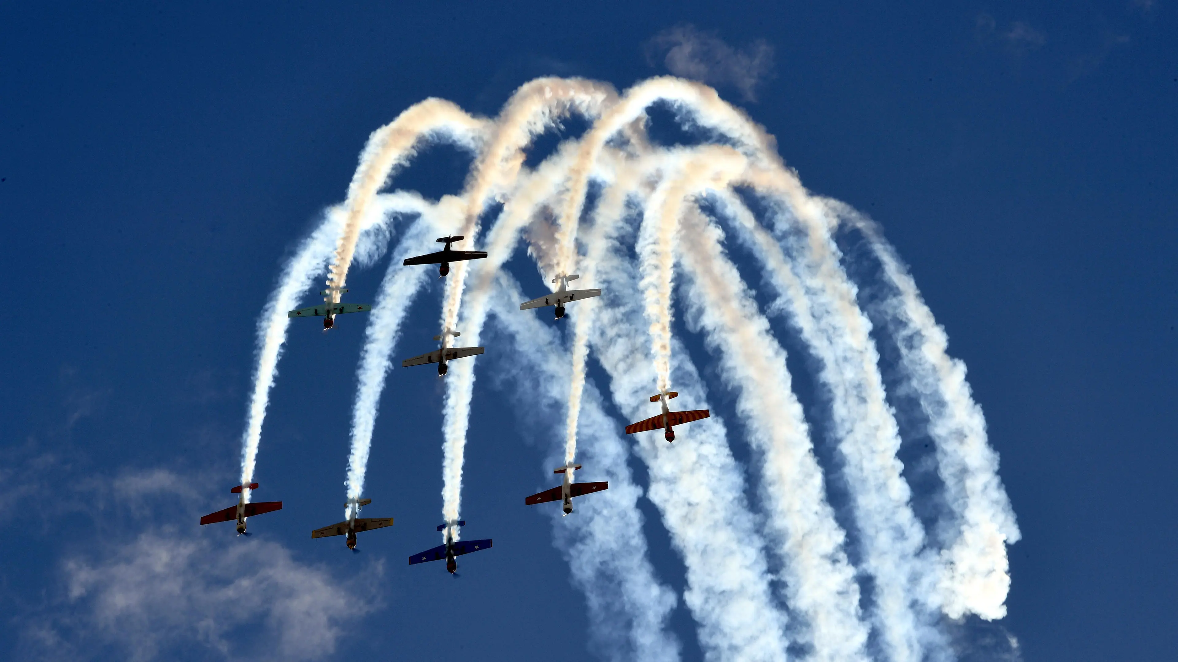 Warbirds cancelled