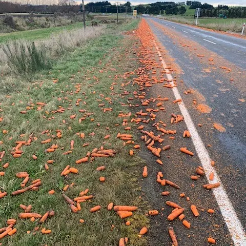 Carrots turn side of Southland highway orange