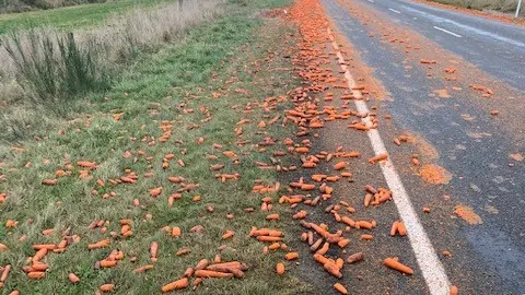 Carrots turn side of Southland highway orange