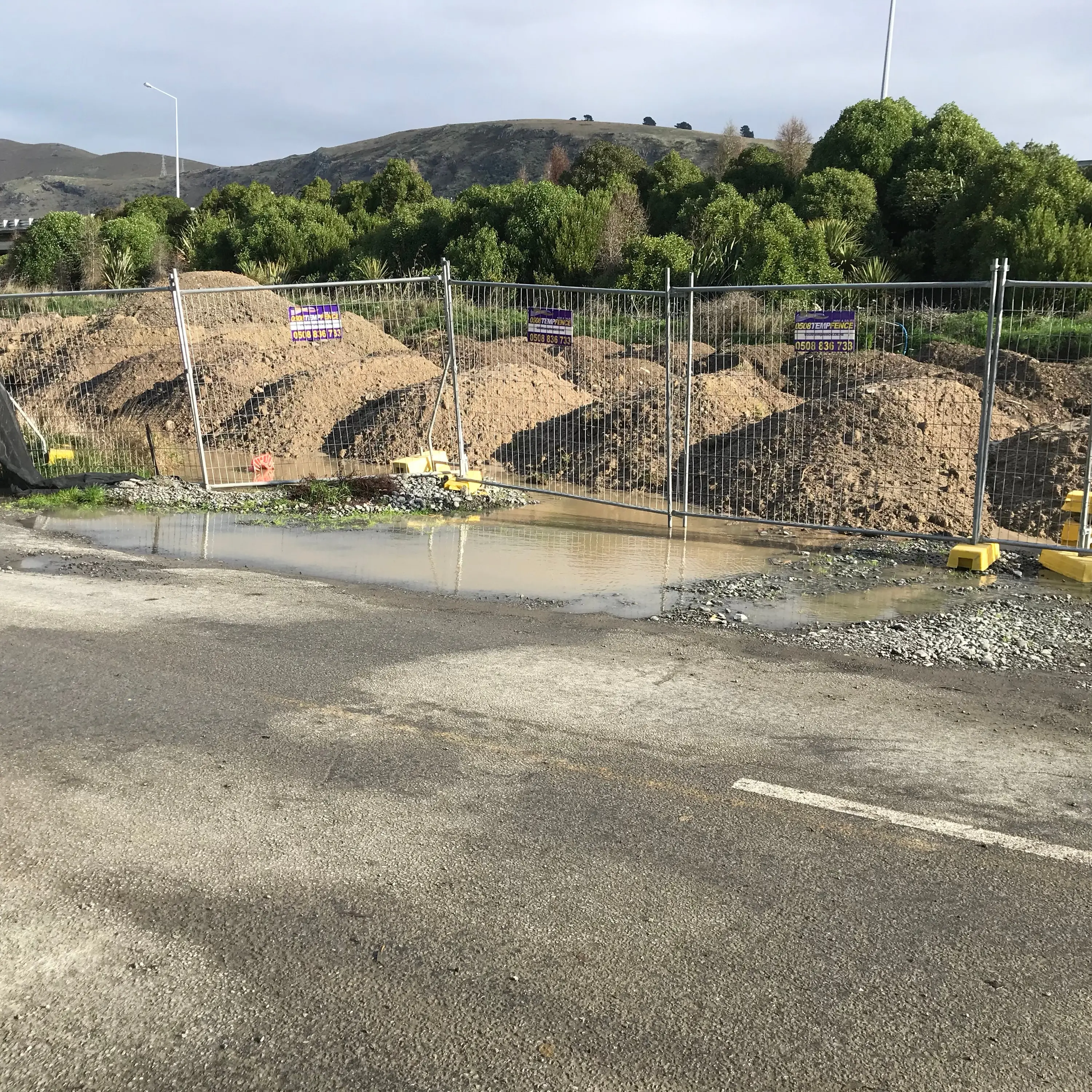 Pot holes ‘downright depressing’