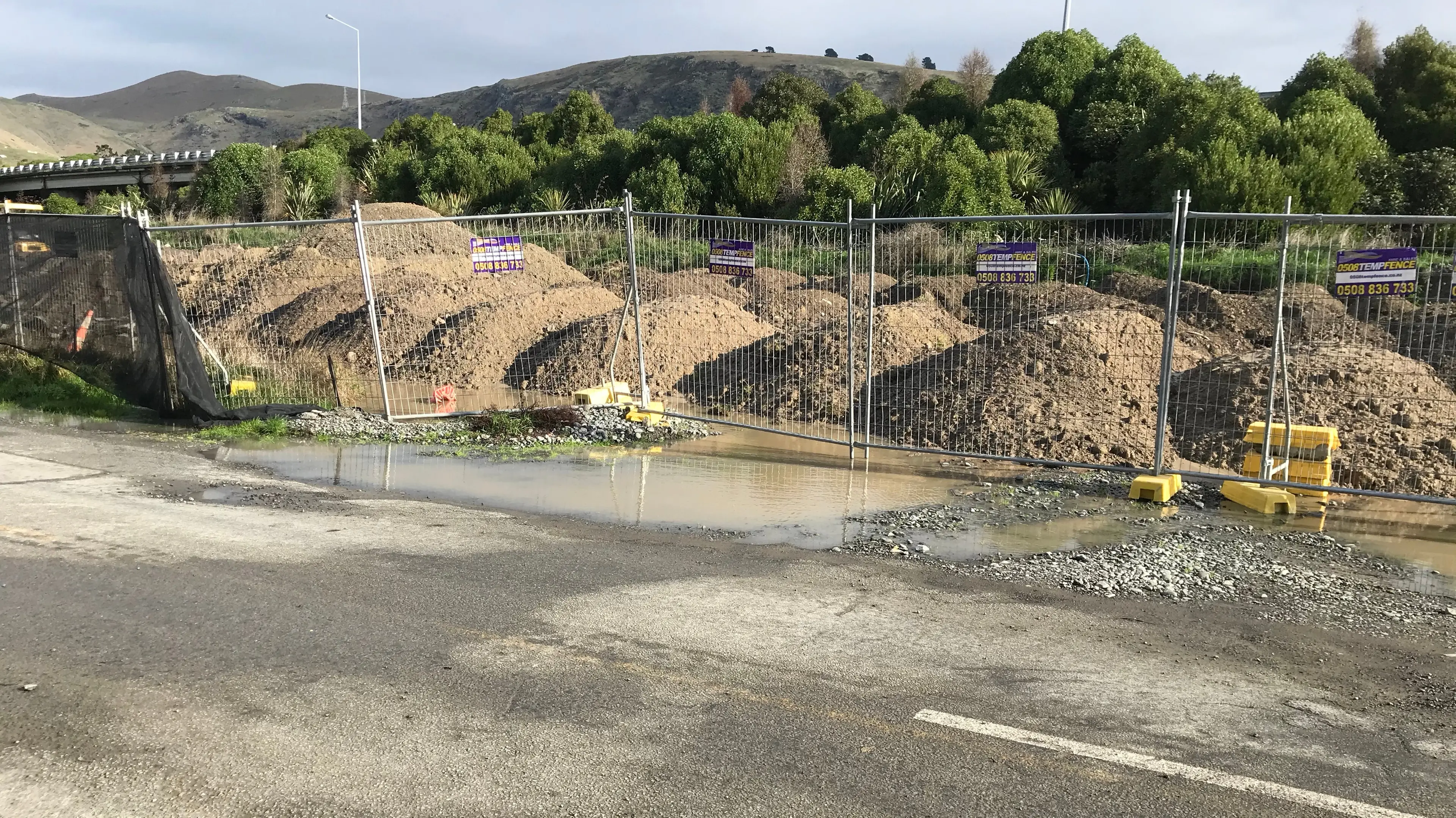 Pot holes ‘downright depressing’