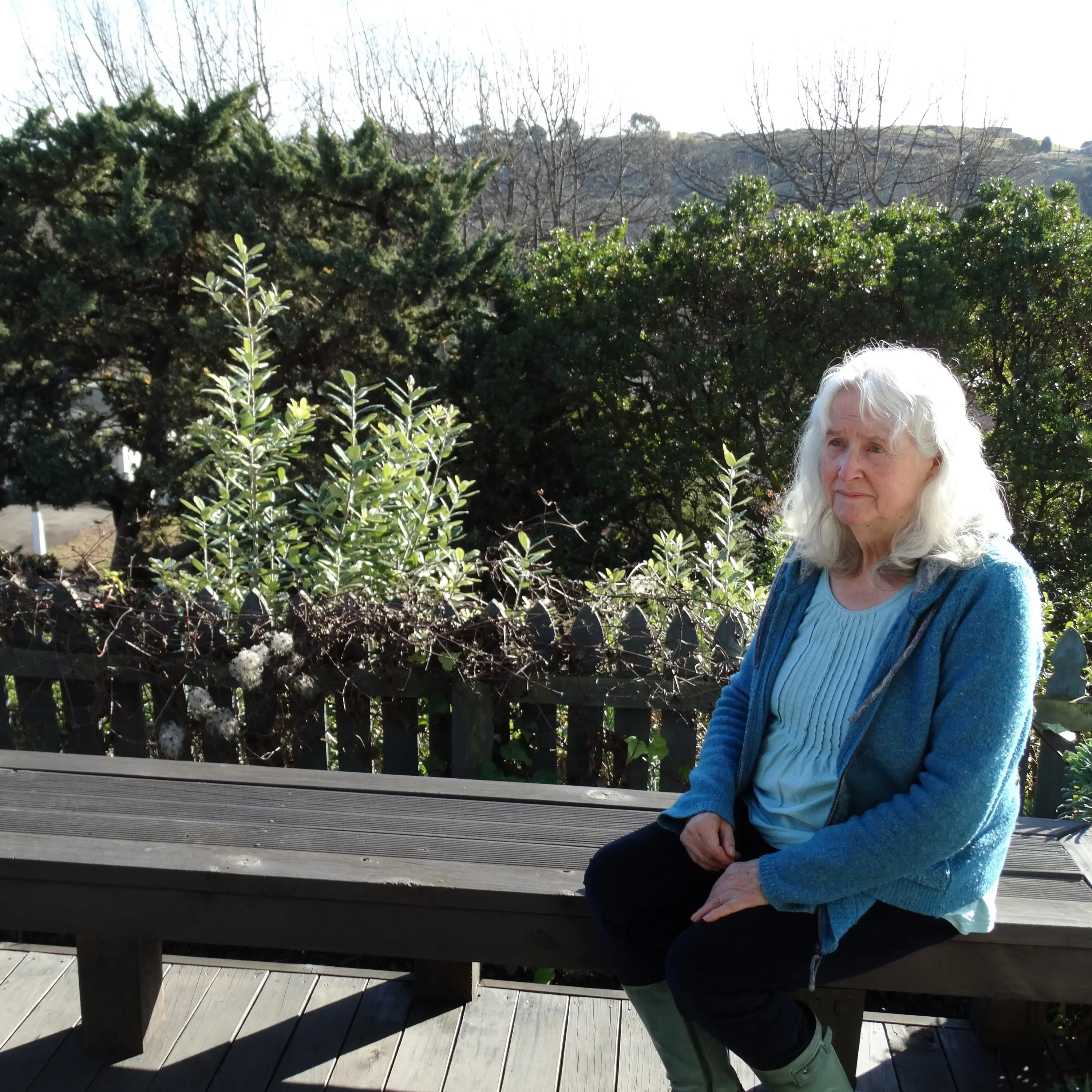 Tree removal causes concern