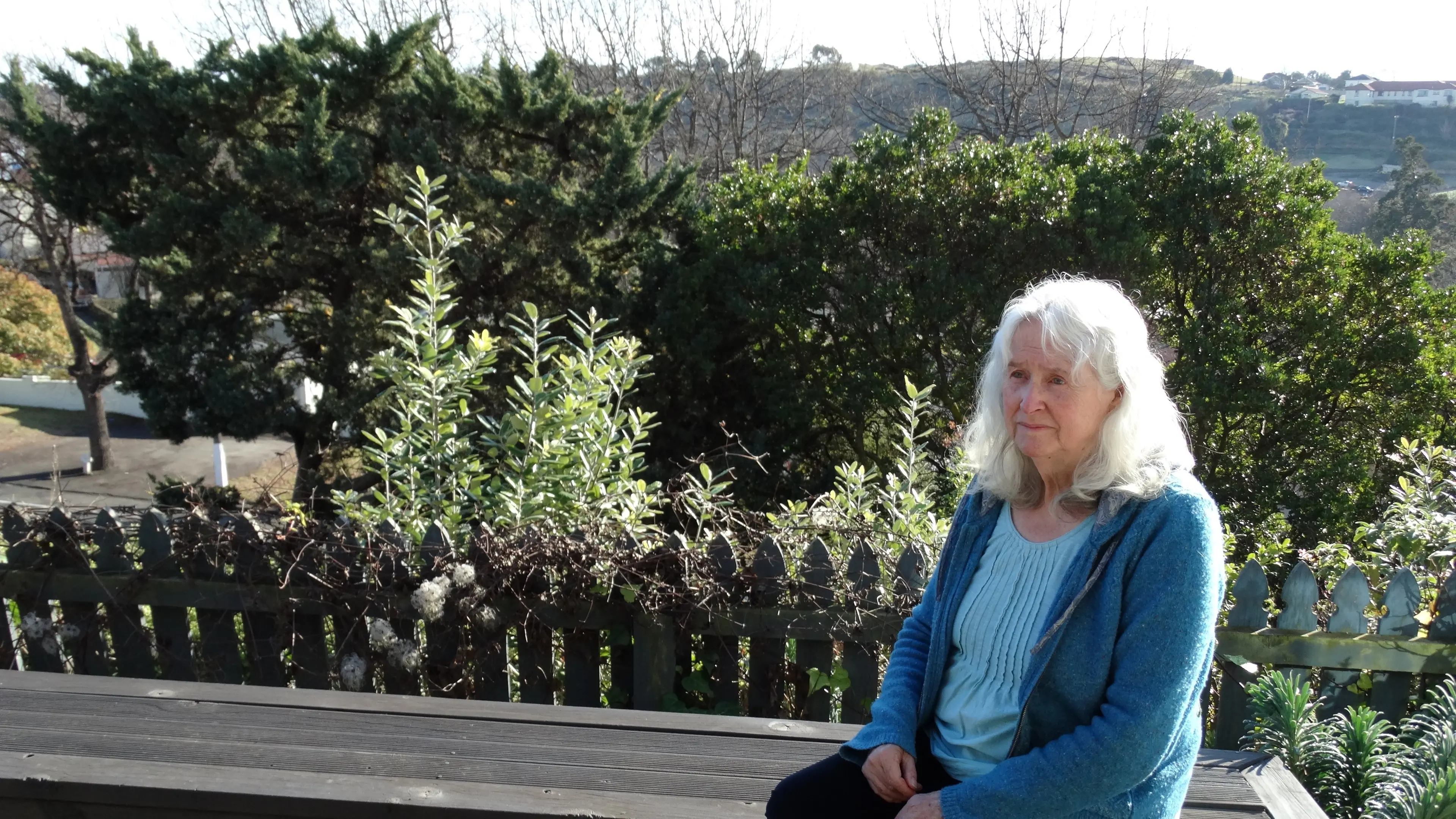 Tree removal causes concern