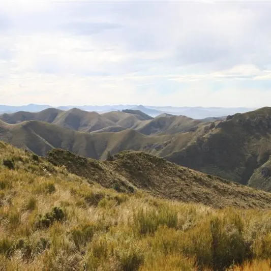 Silver Peaks survey seeks public's view