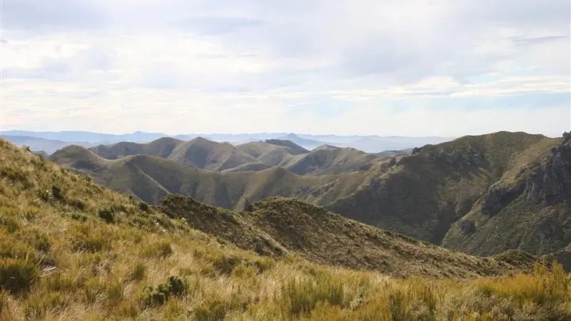 Silver Peaks survey seeks public's view