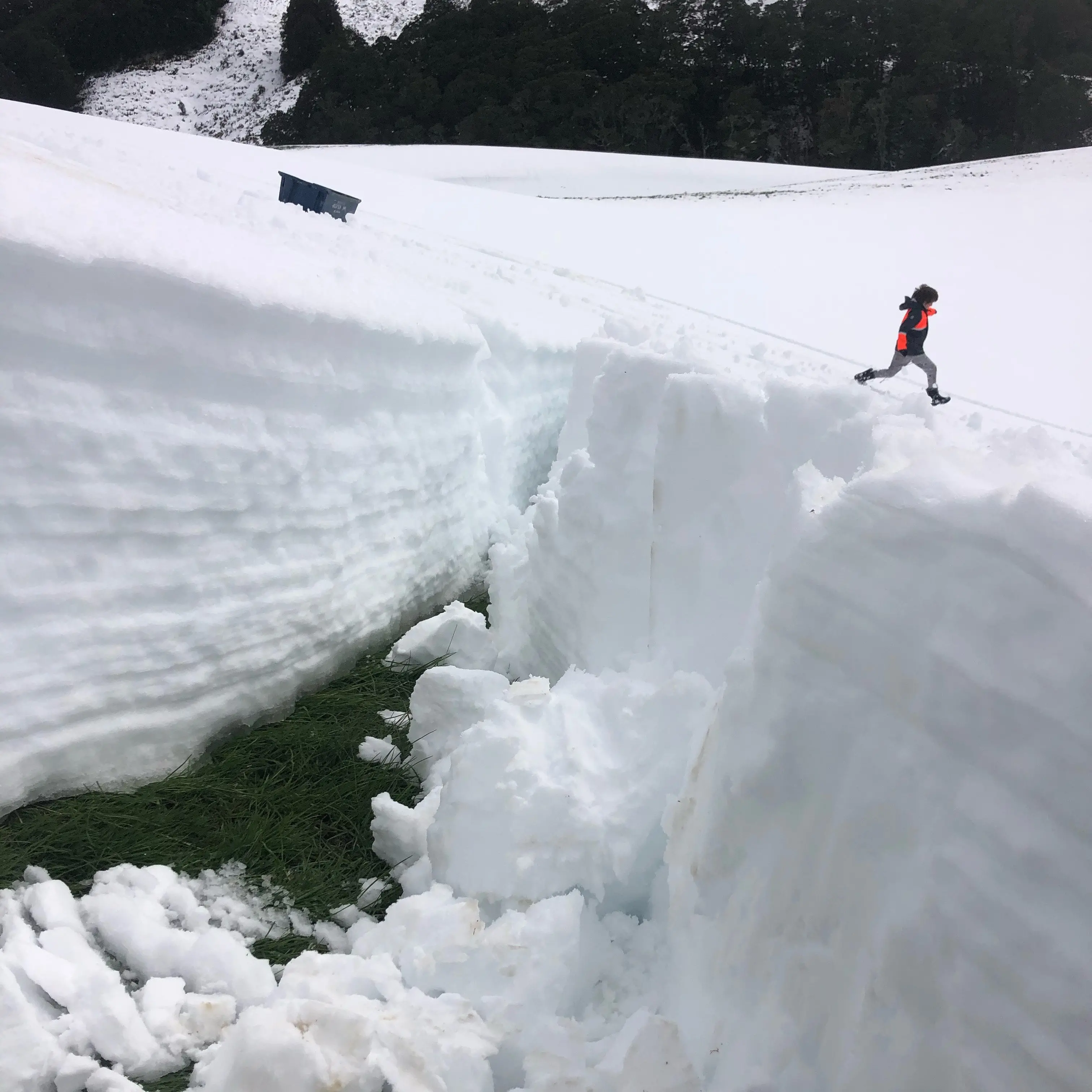 Sledging fun