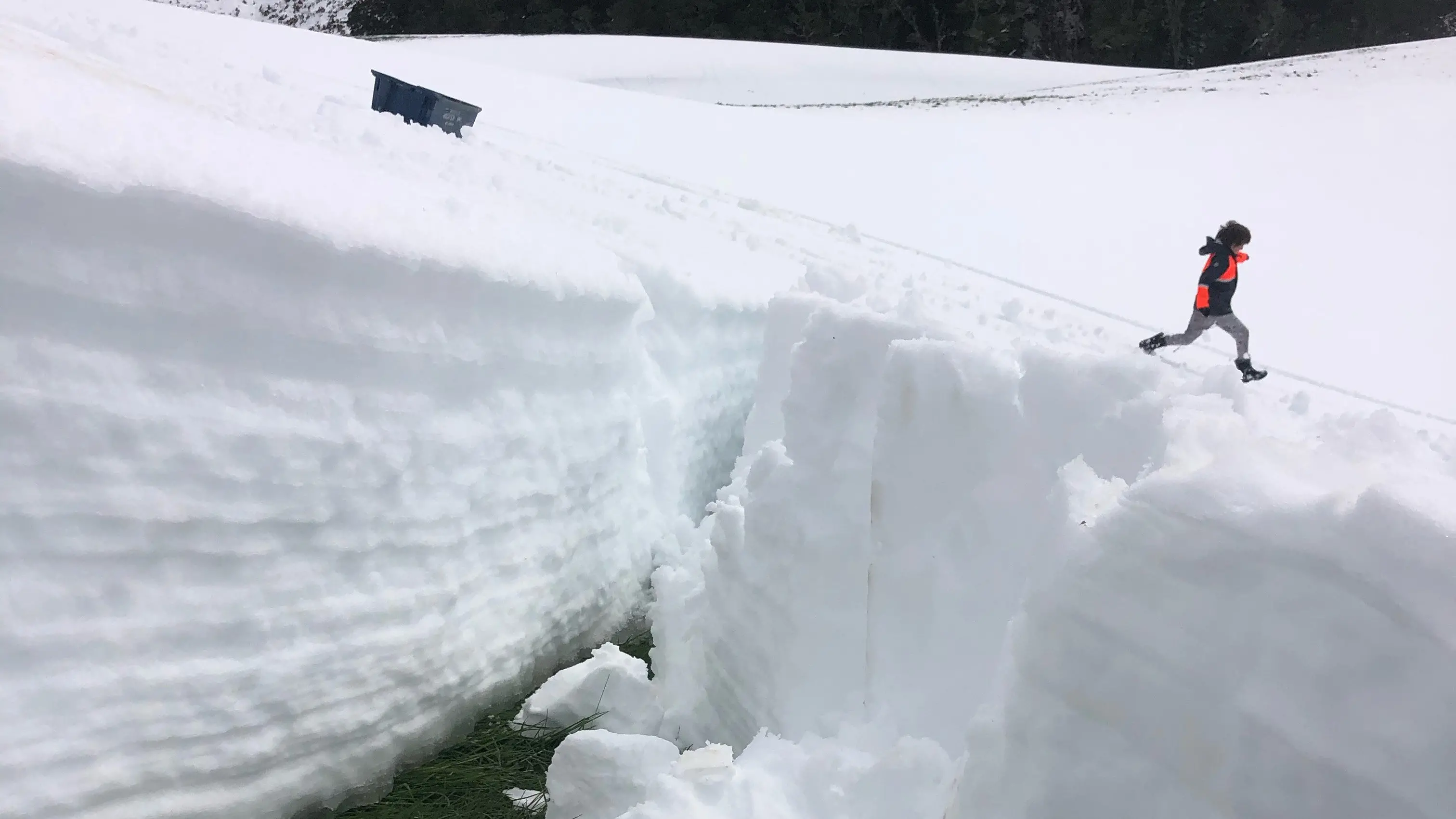 Sledging fun