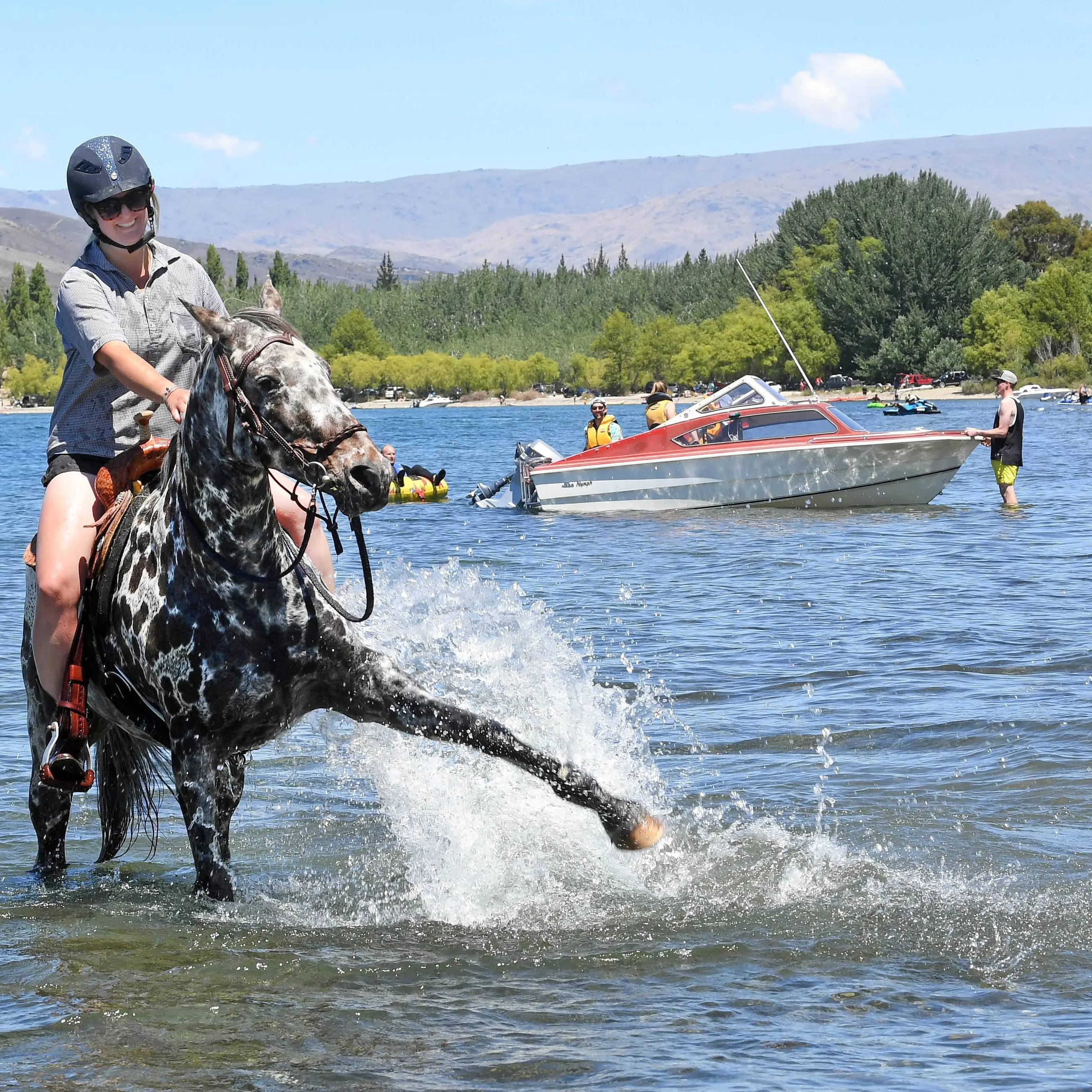 Swimming, ice cream key to horse’s holiday
