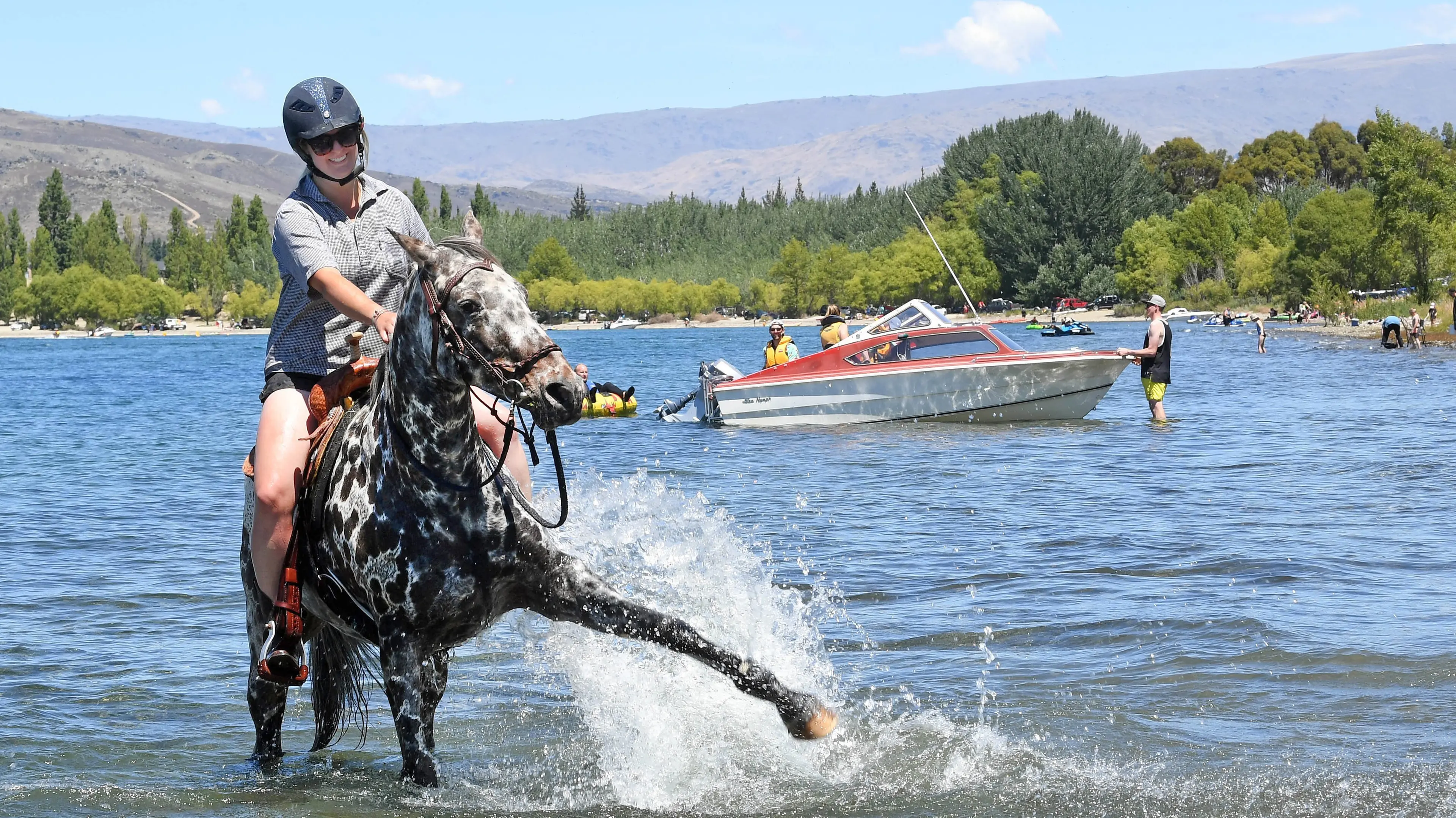 Swimming, ice cream key to horse’s holiday