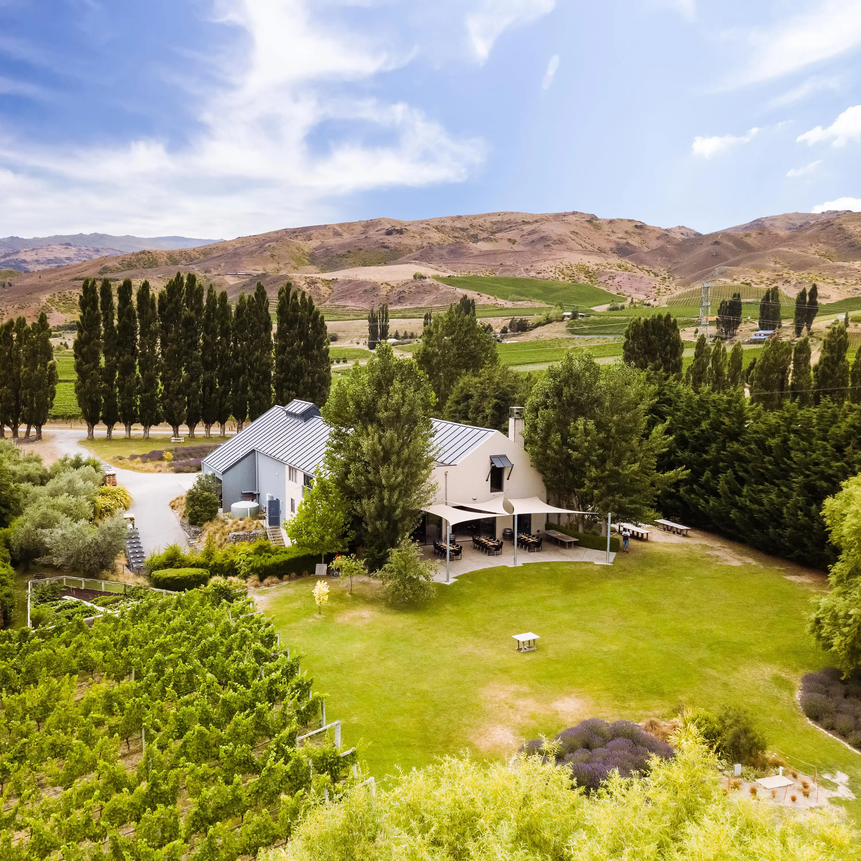 Winery owned by slain Aucklander bought by Southland farmers