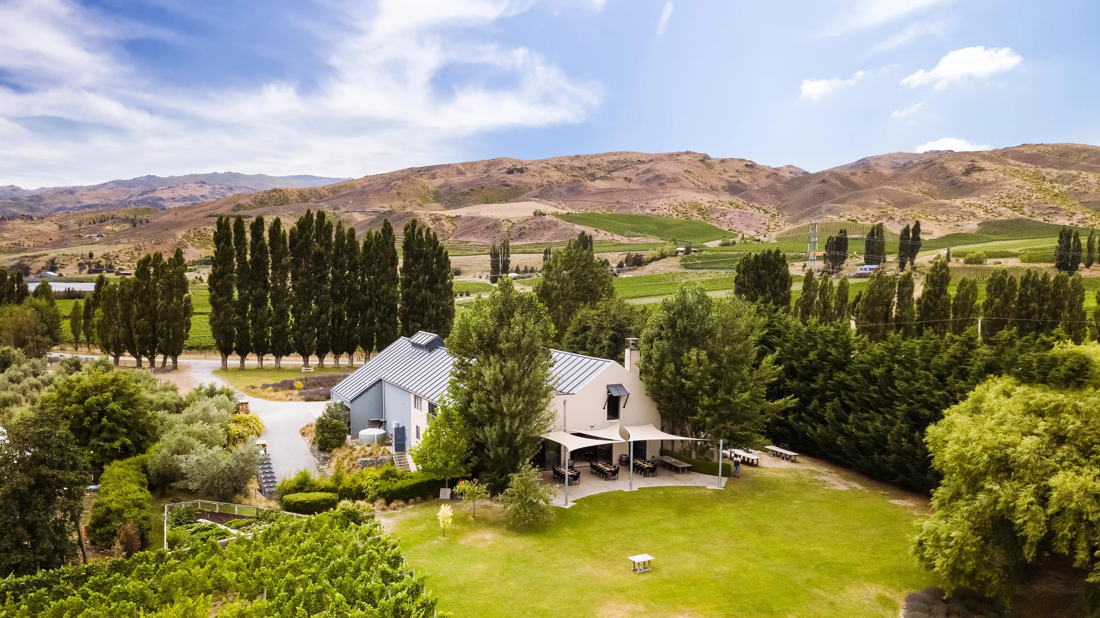 Winery owned by slain Aucklander bought by Southland farmers