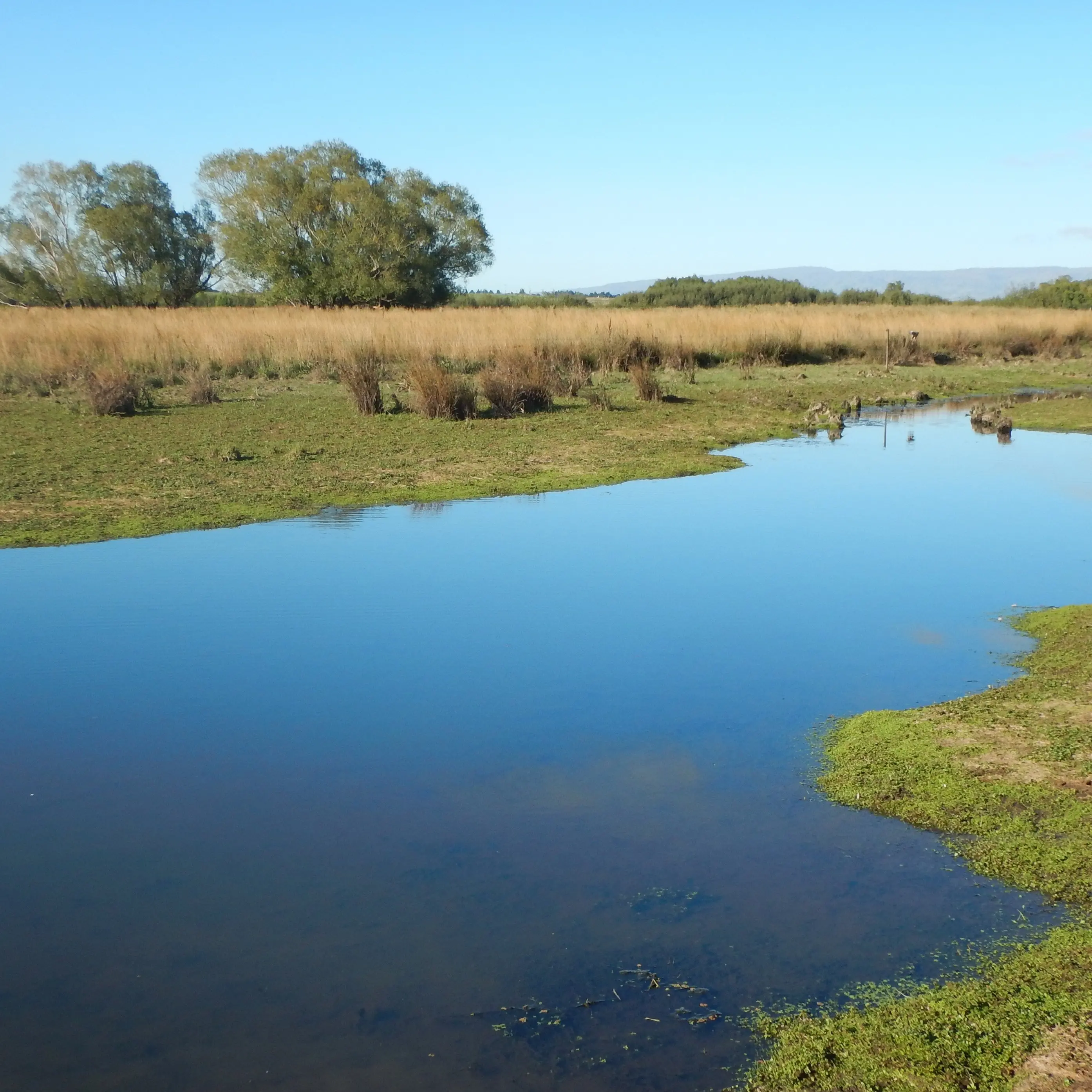 Weekend’s weather a perfect chance to fish