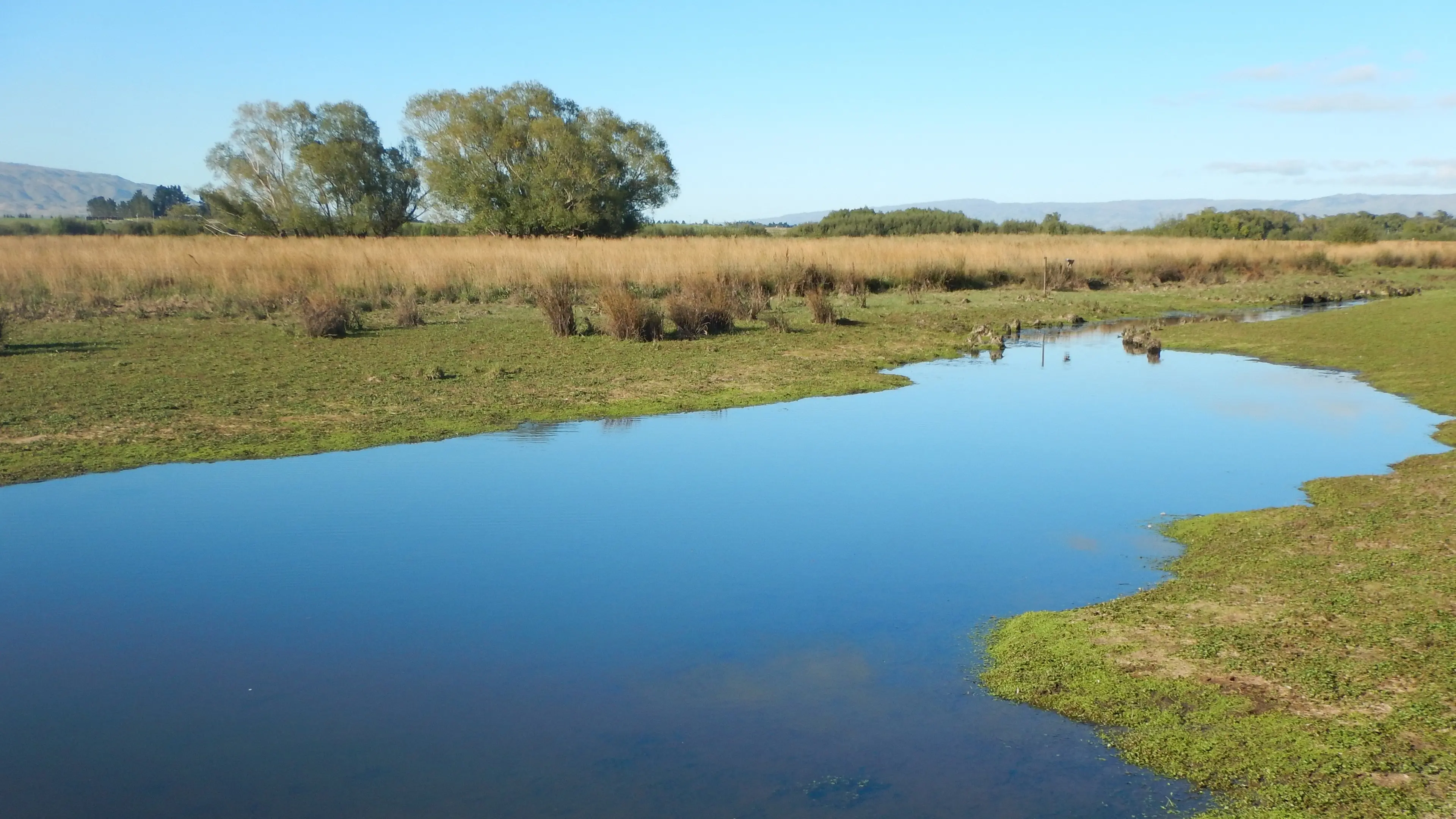 Weekend’s weather a perfect chance to fish