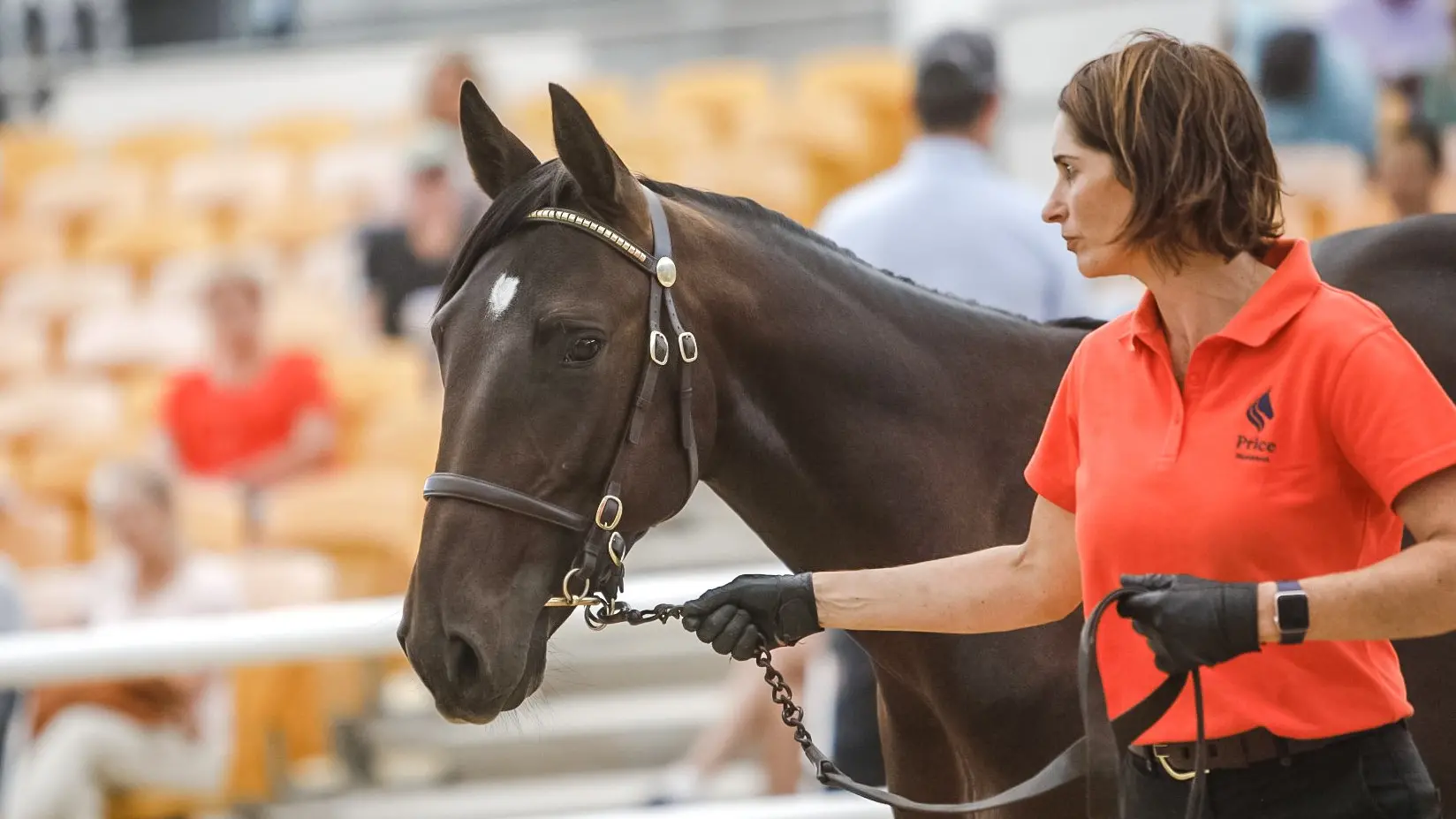 Day of records for Winton breeders at yearling sale