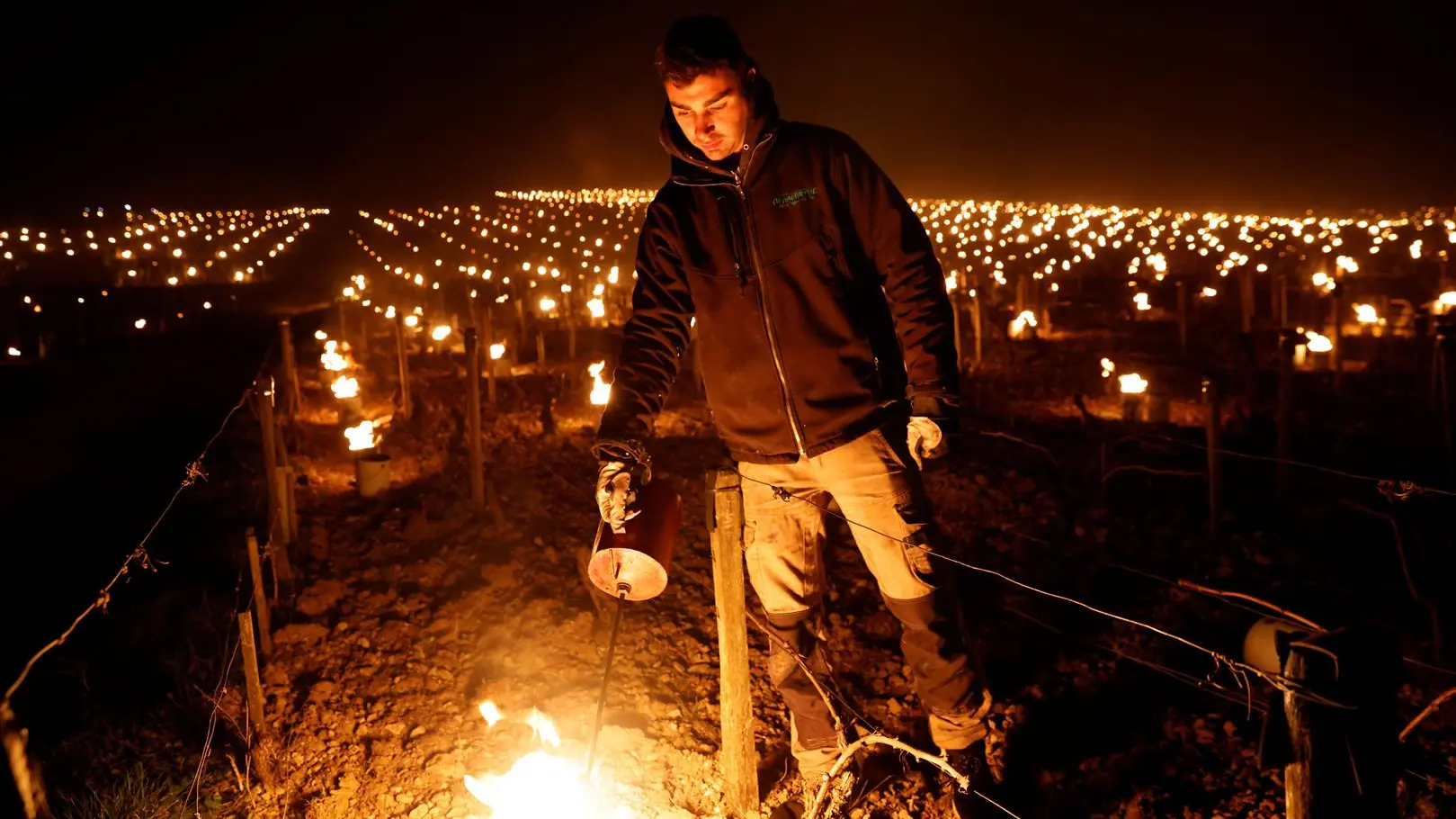 French winemakers set candles, straw ablaze to save vines from frost