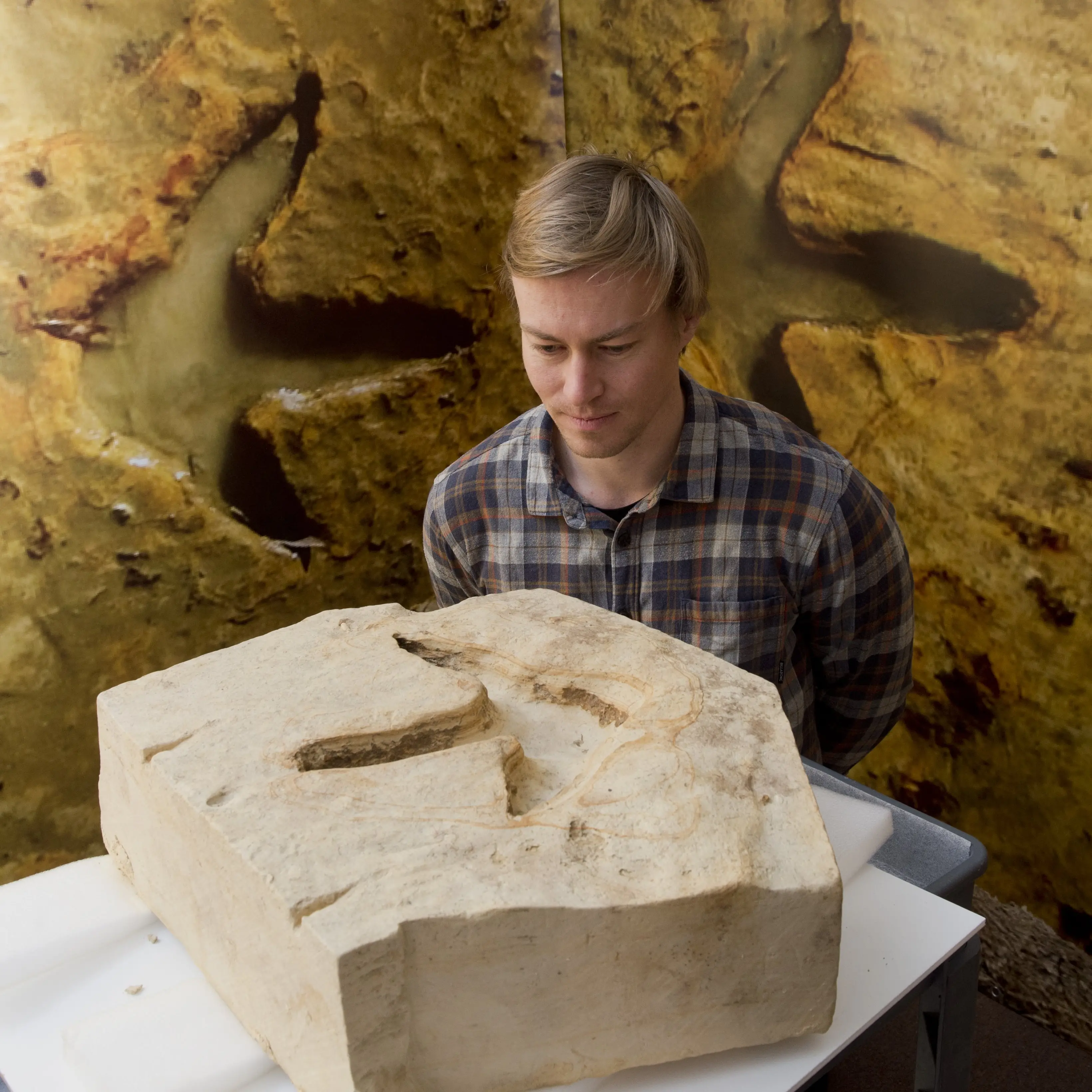 Private phase for dry moa footprints