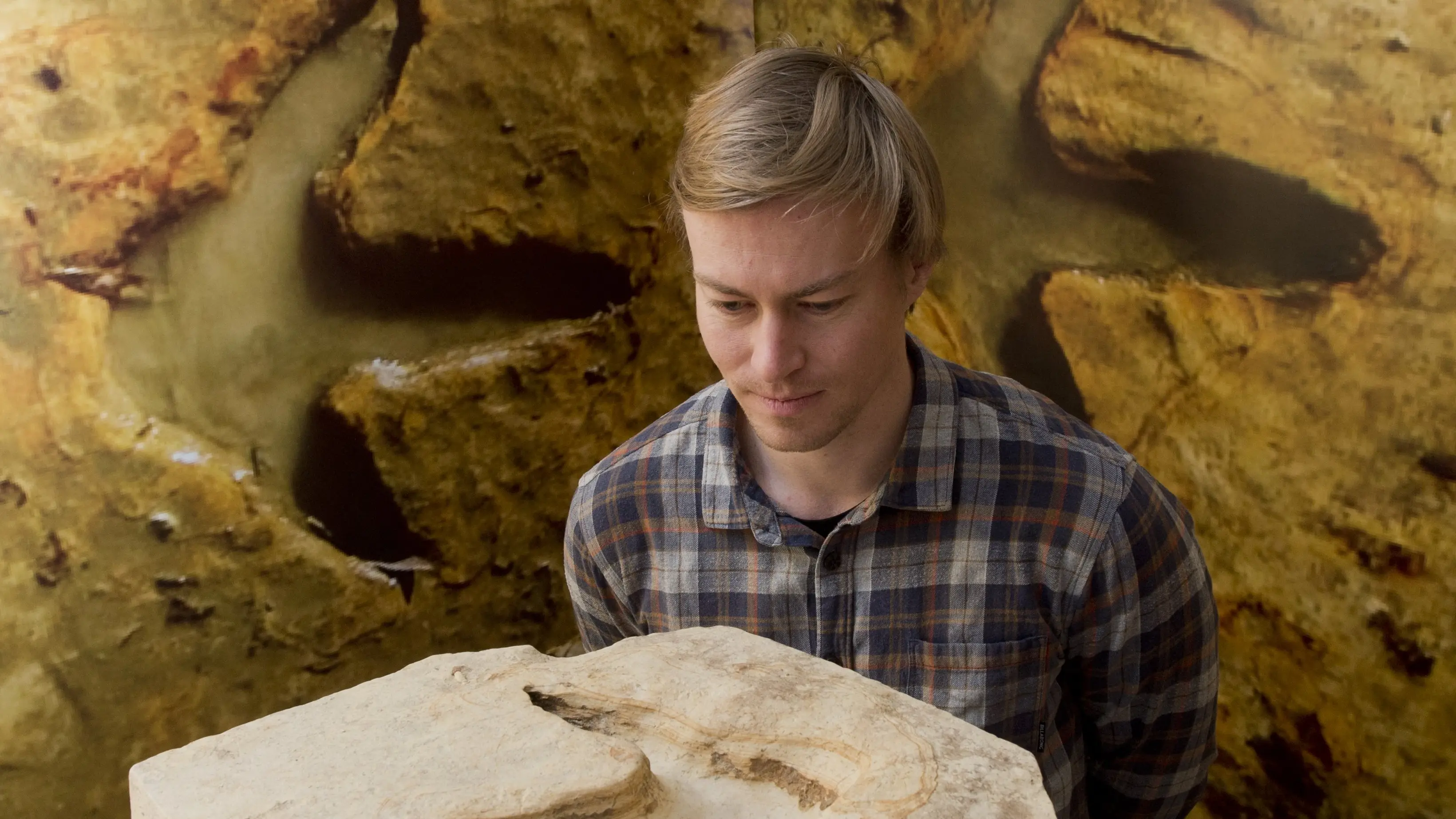 Private phase for dry moa footprints