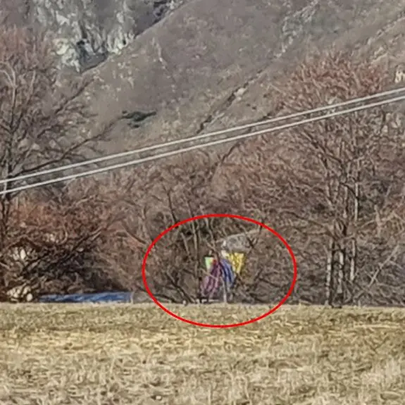 Passengers 'thrown out' of balloon after it was hit by wind gust