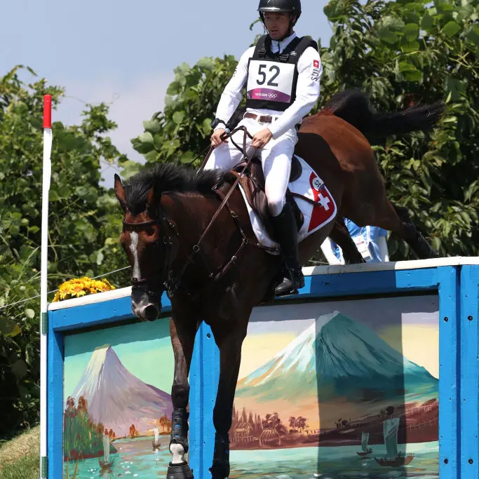 Horse euthanised after sustaining injury on Olympic course