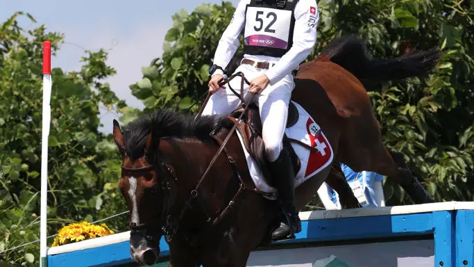Horse euthanised after sustaining injury on Olympic course