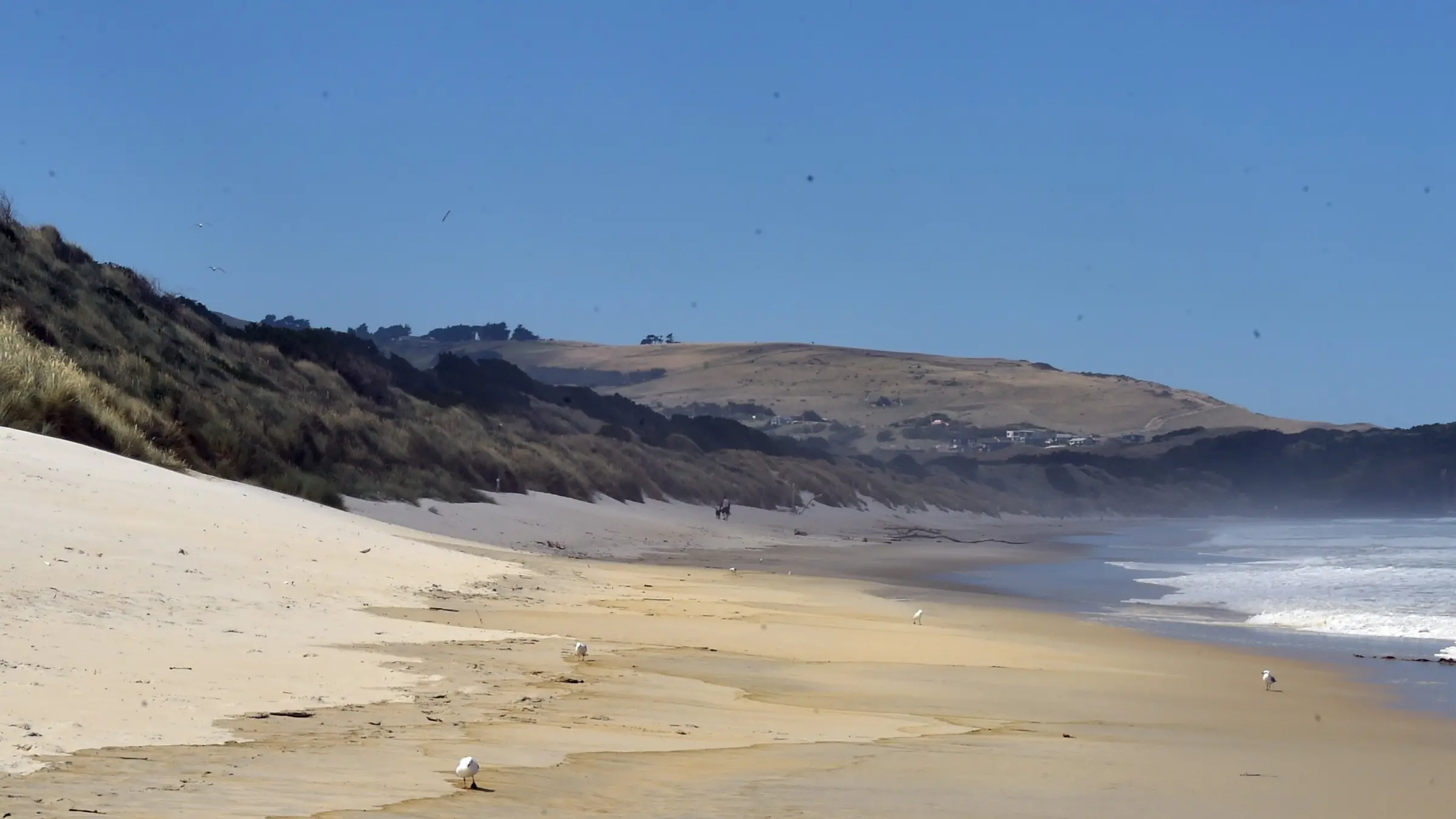 South Dunedin’s future: ‘Look after the dunes’