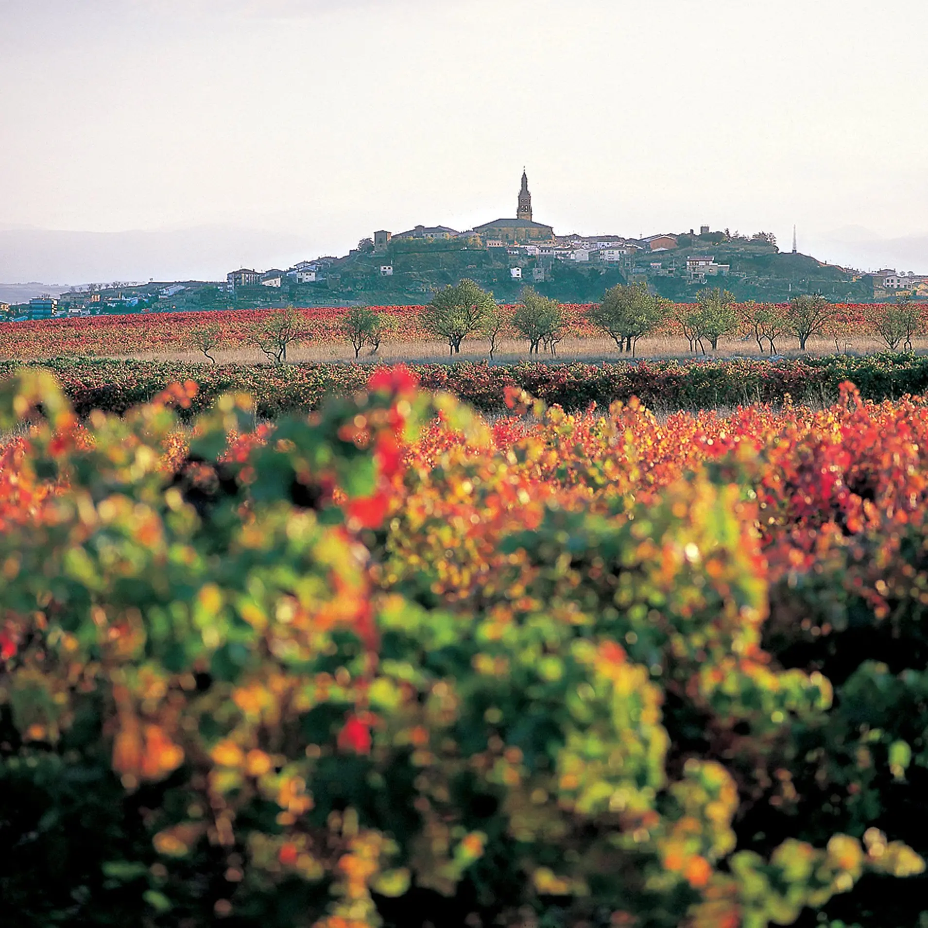 Exploring a region of flavour