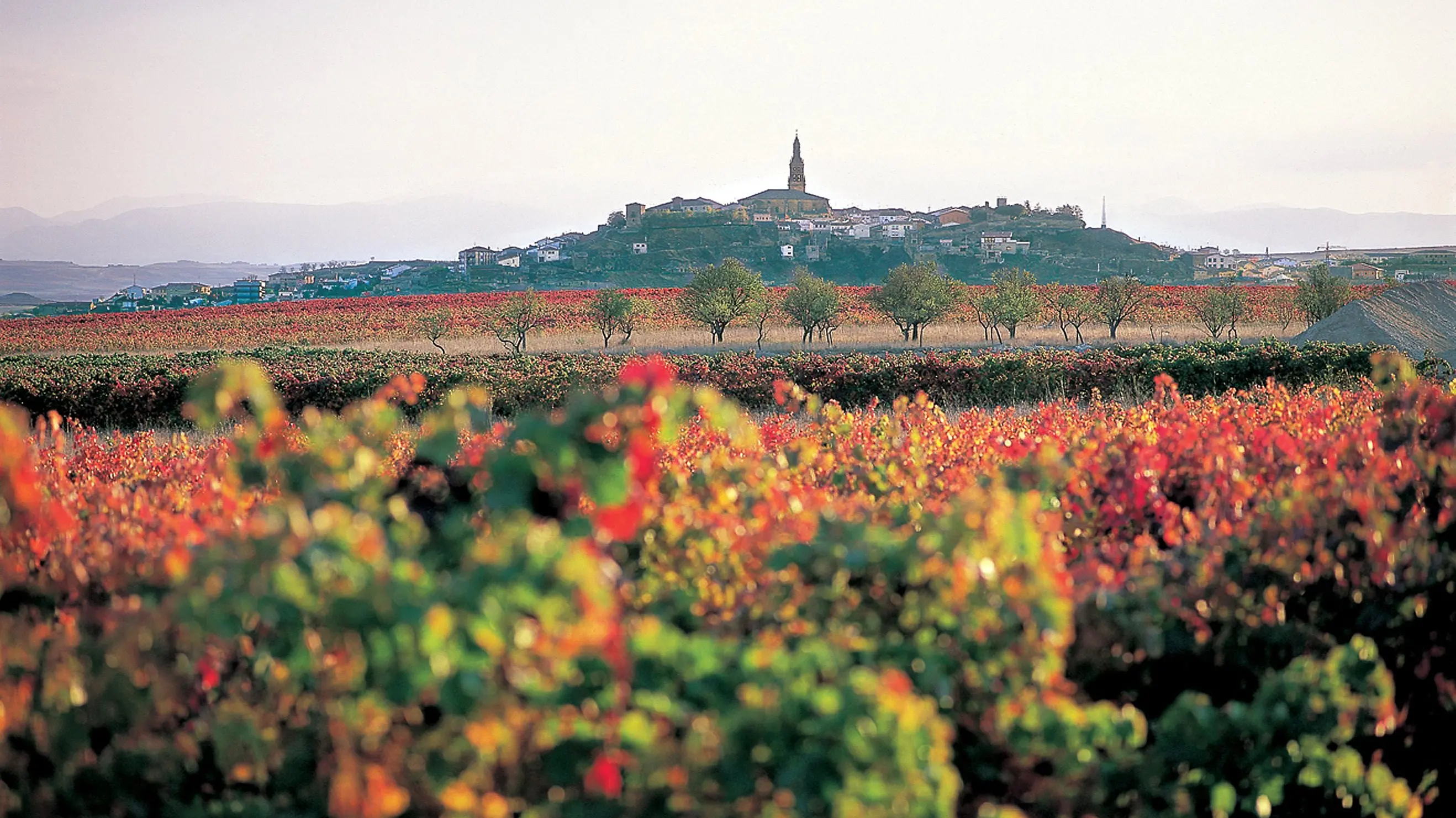 Exploring a region of flavour