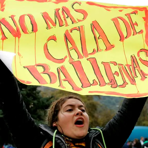 Chile pushes whaling ban at international conference