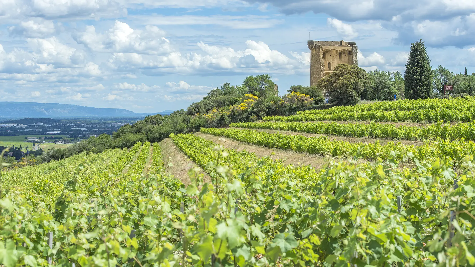 Roaming through Rhone