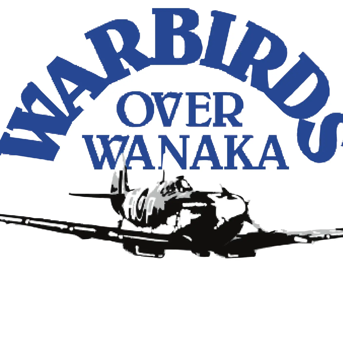 Airshow makes long-awaited comeback