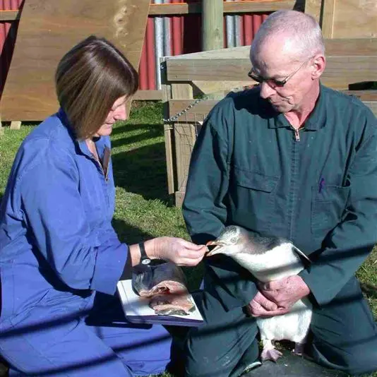 New use for salmon carcasses a 'win-win' for three trusts