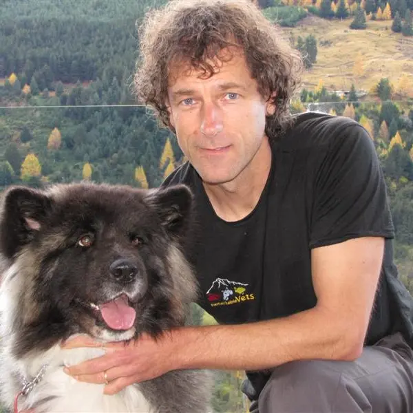 Stem-cell procedure helps dog on way to recovery