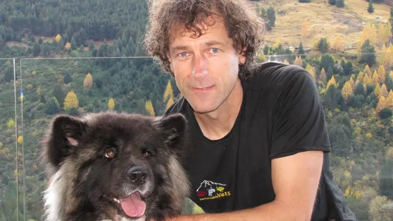 Stem-cell procedure helps dog on way to recovery
